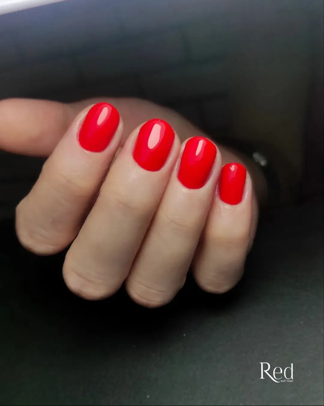 442570084_460179989715754_7096095089379218408_n