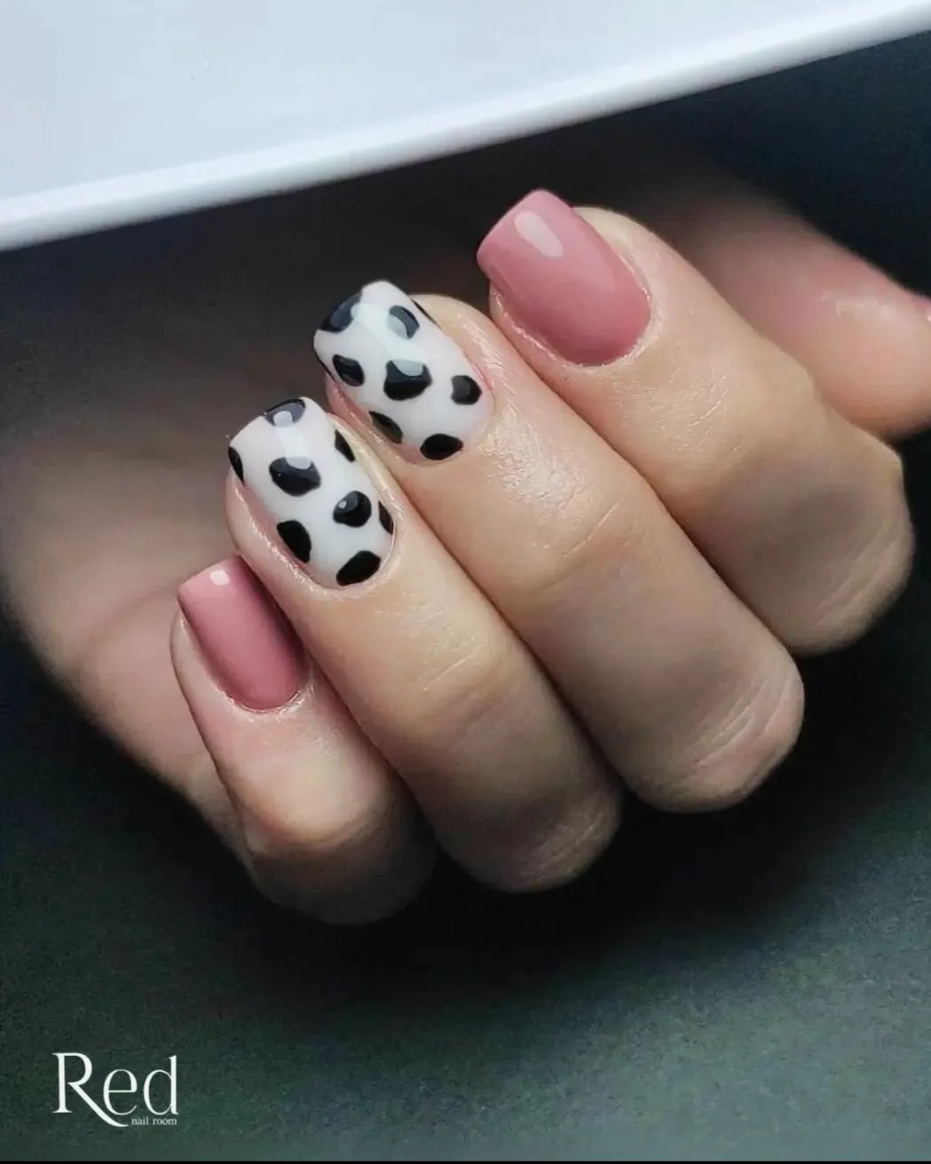 448057262_1024454405932161_8613698103580560861_n